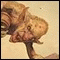 Avatar de apocalispeboy
