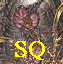Avatar de sliverqueen