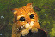 Avatar de bibendumboy