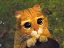 Avatar de Noxus Avatar de Noxus
