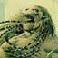 Avatar de snackor Avatar de snackor
