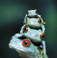 Avatar de Thops_Bug Avatar de Thops_Bug