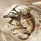 Avatar de Xorg