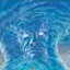 Avatar de ___ Avatar de ___