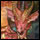 Avatar de Contresort