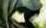Avatar de Vaati Avatar de Vaati