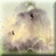 Avatar de yanot005