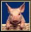 Avatar de Tork