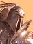 Avatar de KuliKan Avatar de KuliKan