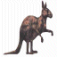 Avatar de Kangoo