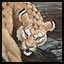 Avatar de Simba- Avatar de Simba-