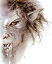 Avatar de herkator