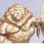 Avatar de la-gloute Avatar de la-gloute