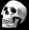 Avatar de _Masato_ Avatar de _Masato_