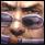 Avatar de pixel13 Avatar de pixel13
