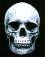 Avatar de crane666