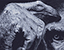Avatar de dounoumba Avatar de dounoumba