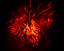 Avatar de erias9 Avatar de erias9