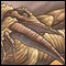 Avatar de fovi Avatar de fovi