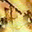Avatar de deustj