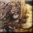 Avatar de fanthomas