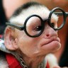 Avatar de macferty