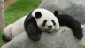 Avatar de lorgregan Avatar de lorgregan