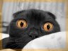 Avatar de Kimy Avatar de Kimy