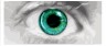 Avatar de cosque67