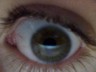 Avatar de rara