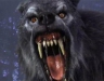 Avatar de Werewolf76