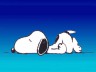 Avatar de Sno0Py Avatar de Sno0Py