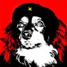 Avatar de pandemlk