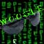 Avatar de WooGLe Avatar de WooGLe