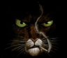 Avatar de WhiteOpus