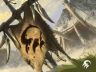 Avatar de VertBleuForever Avatar de VertBleuForever