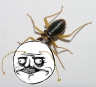 Avatar de Termite_Pervers