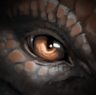 Avatar de dragon647