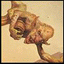 Avatar de sylver Avatar de sylver