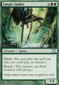 Tangle Spider