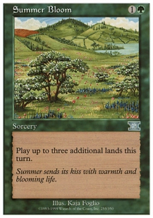Summer Bloom