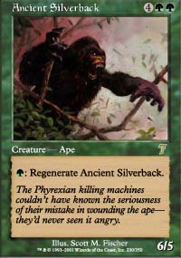 Ancient Silverback