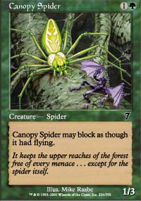 Canopy Spider