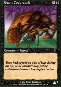 Giant Cockroach