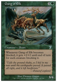 Gang of Elk