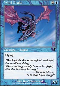 Wind Drake