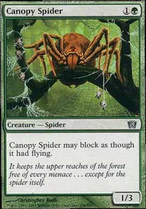 Canopy Spider