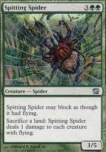 Spitting Spider