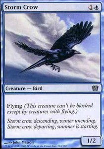 Storm Crow