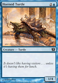 Horned Turtle